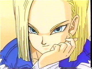 android18_2.jpg